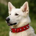 Spiked Red Leather Dog Collar for Large Breeds Adjustable Punk Pet Accessory Style Gift
