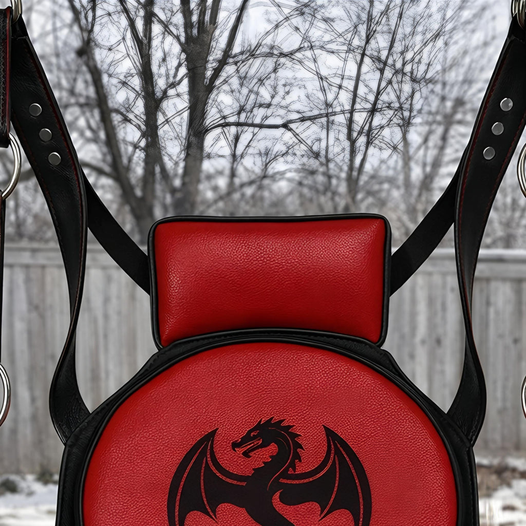 Luxury Leather Suspension Swing Couples Furniture Adjustable Red Black Dragon Harness
