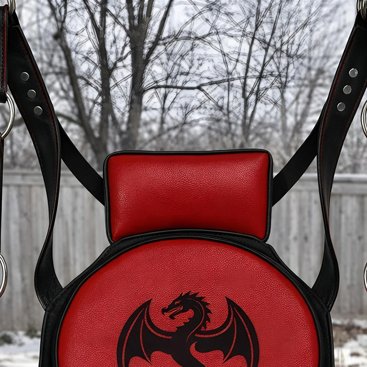 Luxury Leather Suspension Swing Couples Furniture Adjustable Red Black Dragon Harness
