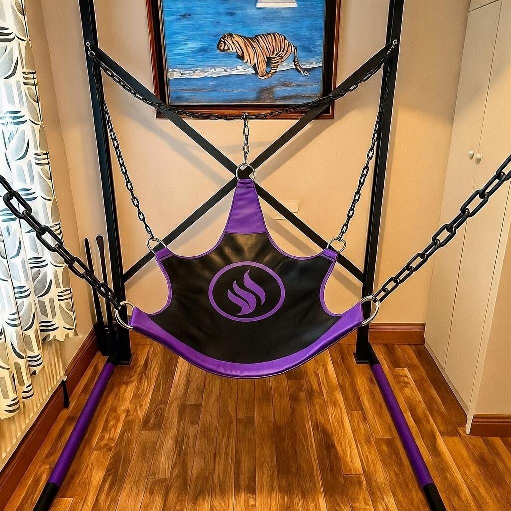 Suspension Swing with Heavy Duty Metal Stand Black and Red Leather